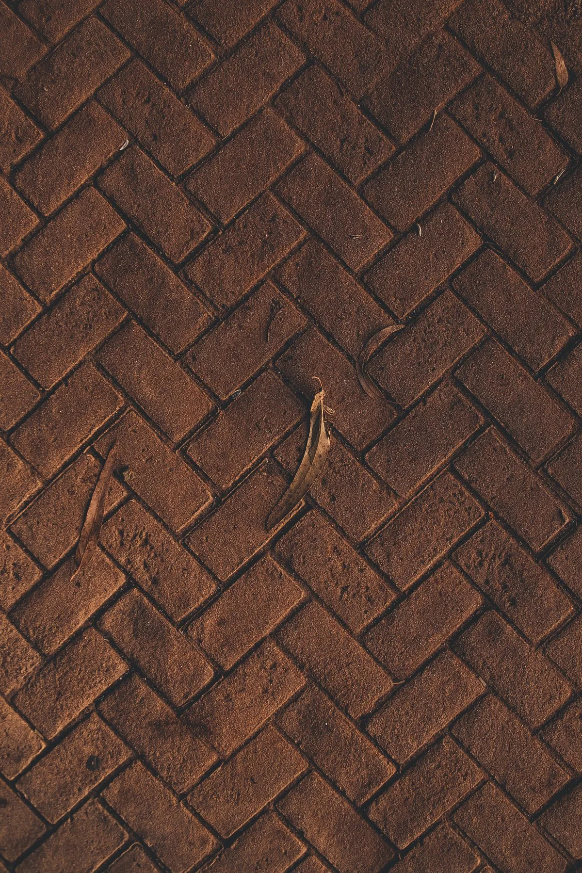 Brick Paving